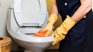 How to Unclog a Toilet (Without a Plumber)